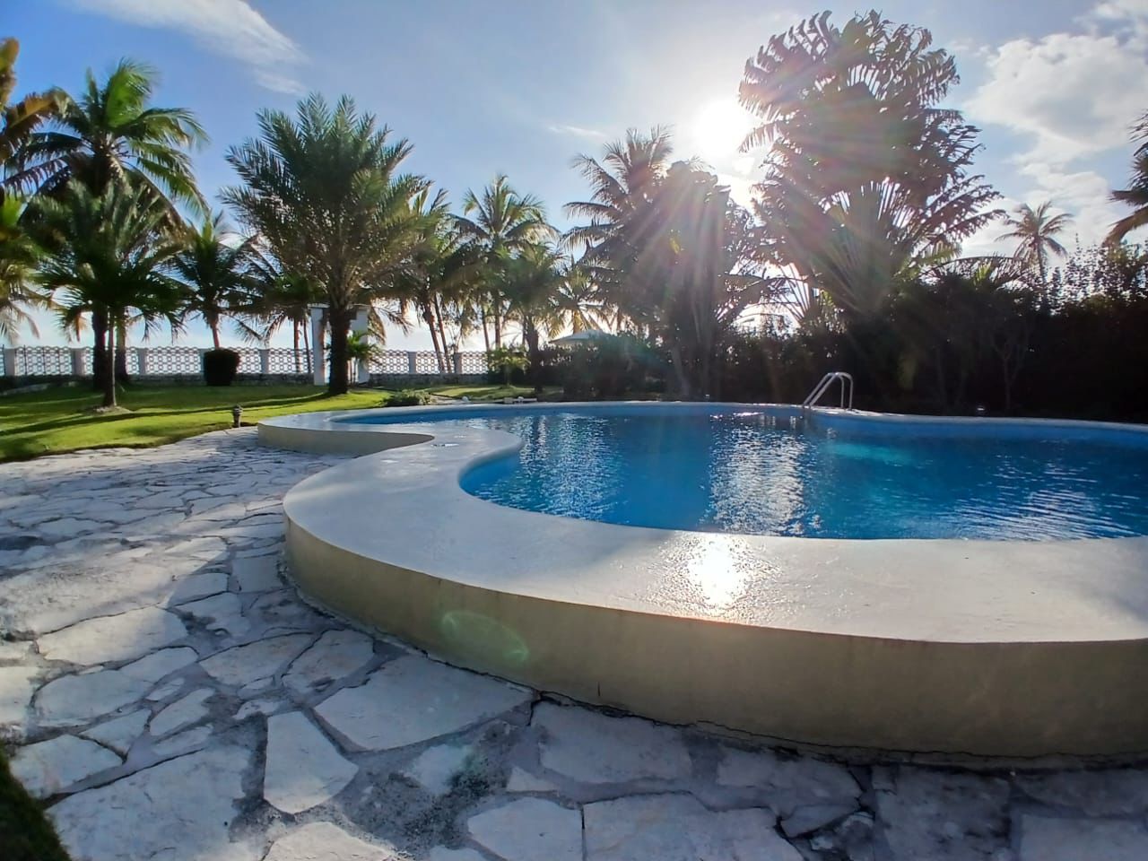 Piscine et palmiers a Casa Yaritza